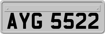 AYG5522