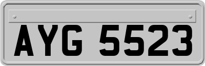 AYG5523