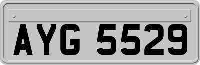 AYG5529