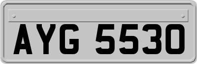 AYG5530