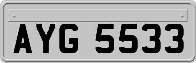 AYG5533