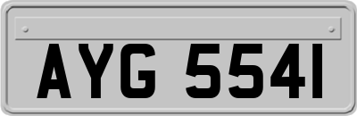 AYG5541