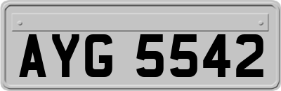 AYG5542