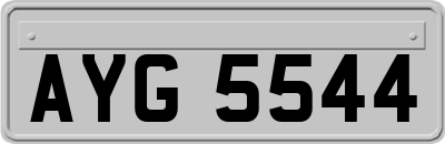 AYG5544