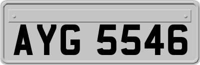 AYG5546