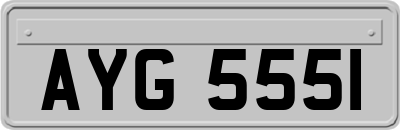 AYG5551