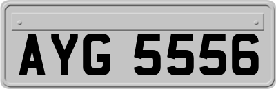 AYG5556