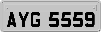 AYG5559