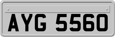 AYG5560