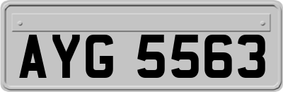 AYG5563
