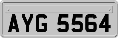 AYG5564