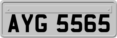 AYG5565