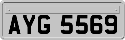 AYG5569