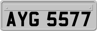 AYG5577