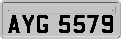 AYG5579