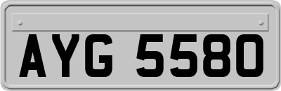 AYG5580