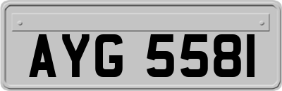 AYG5581