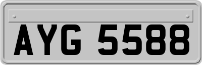 AYG5588