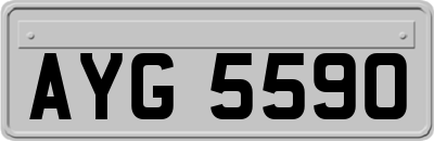 AYG5590