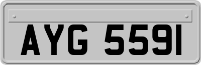 AYG5591