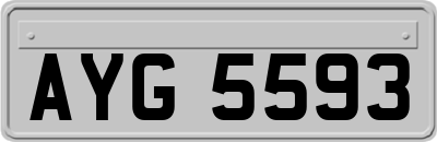 AYG5593