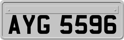 AYG5596