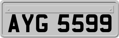 AYG5599