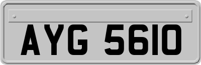 AYG5610