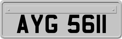 AYG5611