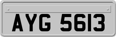 AYG5613