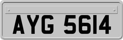 AYG5614