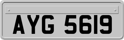 AYG5619