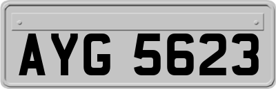 AYG5623