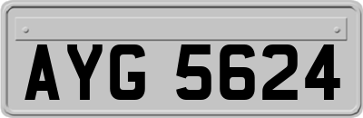 AYG5624