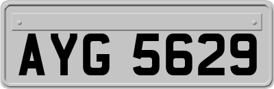 AYG5629