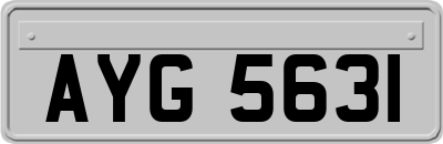 AYG5631