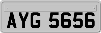 AYG5656
