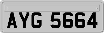 AYG5664