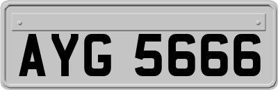 AYG5666