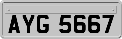 AYG5667