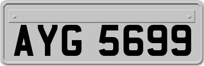 AYG5699