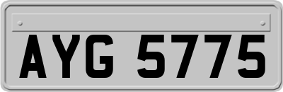 AYG5775
