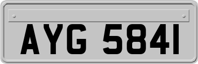 AYG5841