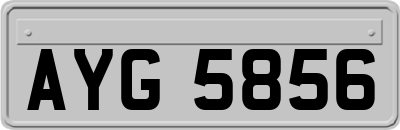 AYG5856