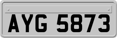 AYG5873