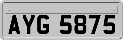 AYG5875