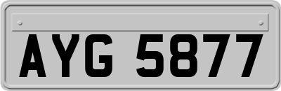 AYG5877