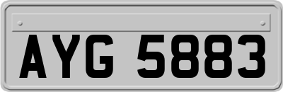 AYG5883