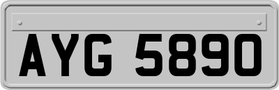 AYG5890