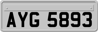 AYG5893
